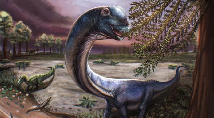 Southeast Asia’s largest dinosaur species discovered in Thailand Southeast Asia’s largest dinosaur species discovered in Thailand