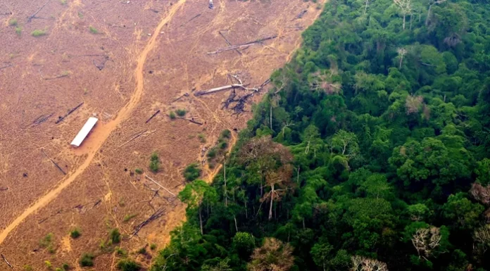 Storms and Dryness Threaten Amazon Forest Carbon Storage Storms and Dryness Threaten Amazon Forest Carbon Storage