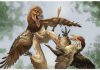 New Four-Winged Dinosaur Discovered in China’s Ancient Bird Fossil Site New Four-Winged Dinosaur Discovered in China’s Ancient Bird Fossil Site