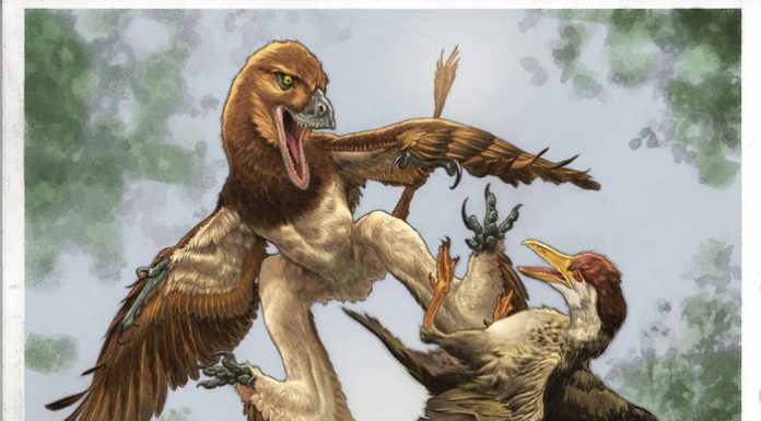 New Four-Winged Dinosaur Discovered in China’s Ancient Bird Fossil Site New Four-Winged Dinosaur Discovered in China’s Ancient Bird Fossil Site