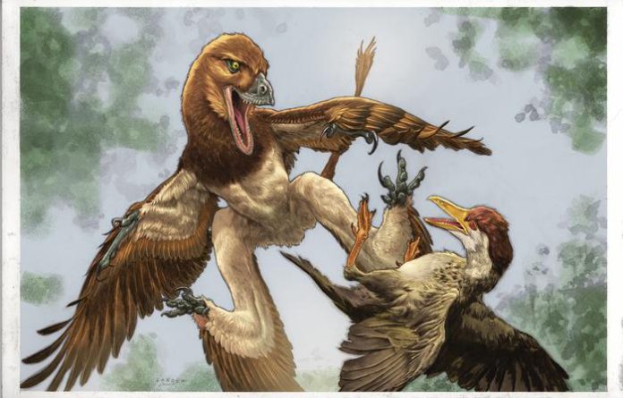 New Four-Winged Dinosaur Discovered in China’s Ancient Bird Fossil Site