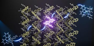 New Material Converts Sunlight into UV Light, Opening Fresh Energy Possibilities New Material Converts Sunlight into UV Light, Opening Fresh Energy Possibilities