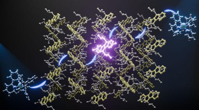 New Material Converts Sunlight into UV Light, Opening Fresh Energy Possibilities New Material Converts Sunlight into UV Light, Opening Fresh Energy Possibilities