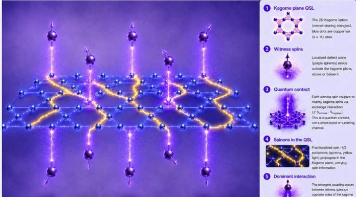 Quantum Computing: UCC Scientists Detect Key Particles in a Quantum Spin Liquid Quantum Computing: UCC Scientists Detect Key Particles in a Quantum Spin Liquid