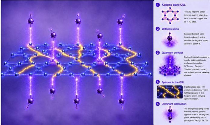 Quantum Computing UCC Scientists Detect Key Particles in a Quantum Spin Liquid Quantum Computing: UCC Scientists Detect Key Particles in a Quantum Spin Liquid
